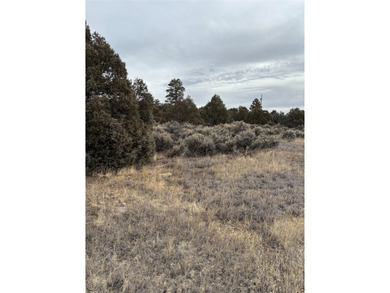 Heron Lake Acreage For Sale in Los Ojos New Mexico