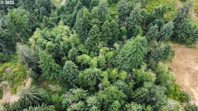 This beautiful 4.18-acre parcel boasts level to gently rolling - photo 1
