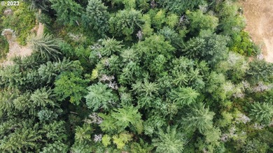 This beautiful 4.18-acre parcel boasts level to gently rolling - photo 2