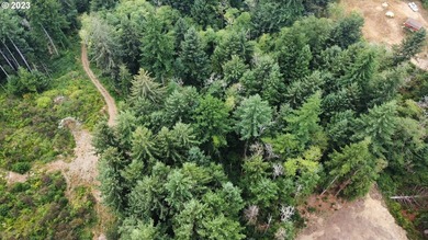 This beautiful 4.18-acre parcel boasts level to gently rolling - photo 3