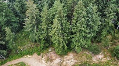 This beautiful 4.18-acre parcel boasts level to gently rolling - photo 4