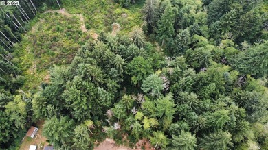 This beautiful 4.18-acre parcel boasts level to gently rolling - photo 5
