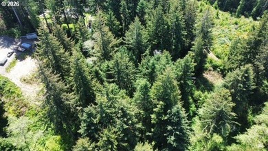 This beautiful 4.18-acre parcel boasts level to gently rolling - photo 7