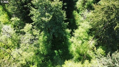 This beautiful 4.18-acre parcel boasts level to gently rolling - photo 8