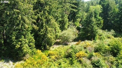This beautiful 4.18-acre parcel boasts level to gently rolling - photo 9