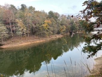 Lake Hartwell 2.5 acres waterfront lot that can be under brushed - Lake Acreage For Sale in Hartwell, Georgia