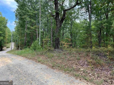 Carters Lake Lot For Sale in Ranger Georgia
