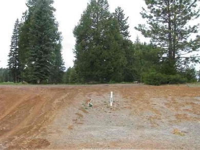 Developer lots. Financing available through Butte Community Bank - photo 2