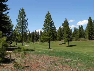 Developer lots. Financing available through Butte Community Bank - photo 3