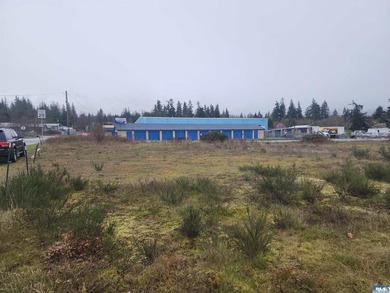 Terrific eastside commercial parcel ready to build on. Sewer is - photo 7