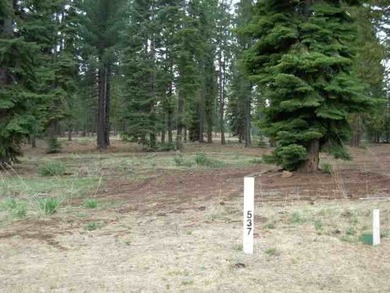 Phase 4 of Bailey Creek Golf Course. Lovely lot with scenic view - photo 1