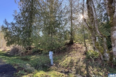 An exceptional 5-acre parcel defined by scenic beauty and - photo 4
