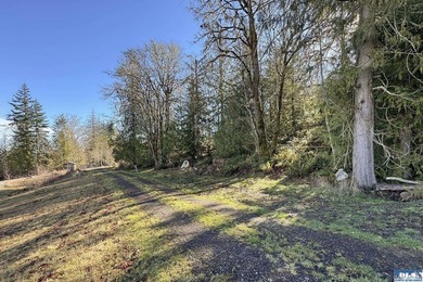 An exceptional 5-acre parcel defined by scenic beauty and - photo 7