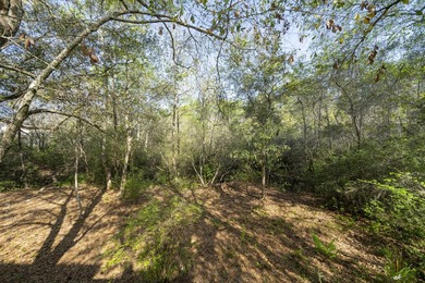 Nestled within the highly desirable Point Washington community - photo 32