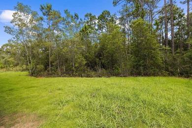 Nestled within the highly desirable Point Washington community - photo 33