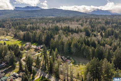 Spacious and beautifully updated 3-bedroom, 3-bath home on 2.80 - photo 3