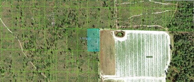 Lake Kissimmee Lot For Sale in Lake Wales Florida