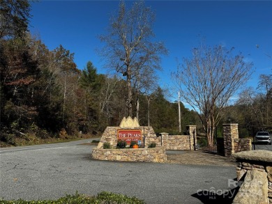 Lake Acreage For Sale in Lake Lure, North Carolina