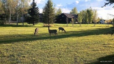 (private lake, pond, creek) Lot For Sale in Bozeman Montana