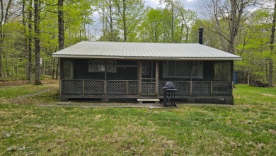 Lake Home For Sale in Cold Brook, New York