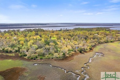 Coastal Living at its finest with marsh views on a 1.03 marsh - photo 13