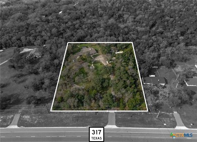 High-Visibility Mixed-Use Opportunity on SH 317 | Nearly 3 Acres - photo 3