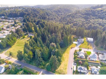 Columbia River - Columbia County Acreage For Sale in Columbia City Oregon