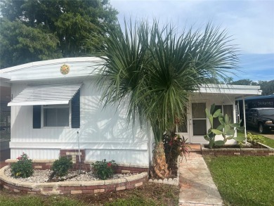 Lake Home For Sale in Tavares, Florida
