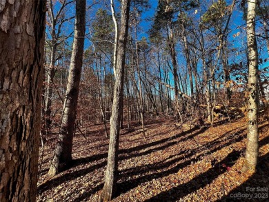 Lake Norman Lot For Sale in Davidson North Carolina