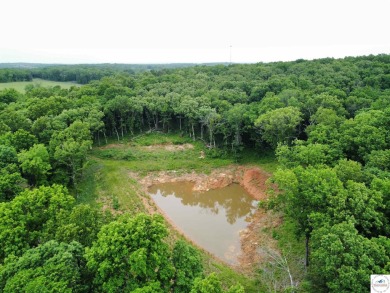 Lake Acreage For Sale in Warsaw, Missouri