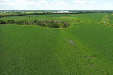 The Knudtson Farm Investor-Grade 669.82-Acre Farm - Rock River - photo 14
