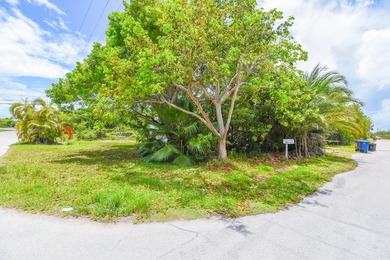 Pilots, this is a great opportunity to build your dream home - photo 24