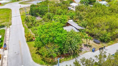 Pilots, this is a great opportunity to build your dream home - photo 25