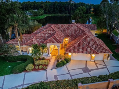 Lake Home For Sale in Oldsmar, Florida
