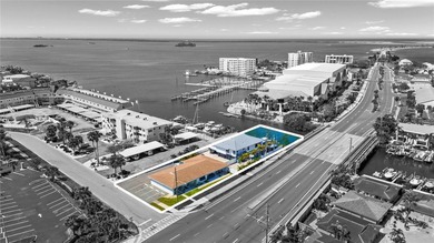 WATERFRONT INCOME. DEVELOPMENT POTENTIAL. ICONIC DUNEDIN - photo 1