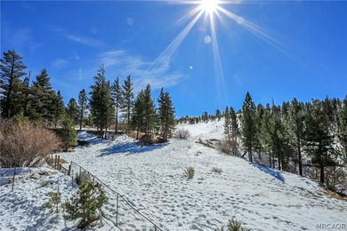 Ironwood Estates Lakeview Custom Home: This property is at end - photo 5