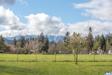 Set on 1.3 acres with beautiful mountain views, this property - photo 2