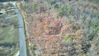 3 acre lot in the North Wood Estate subdivision located on a cul - photo 4