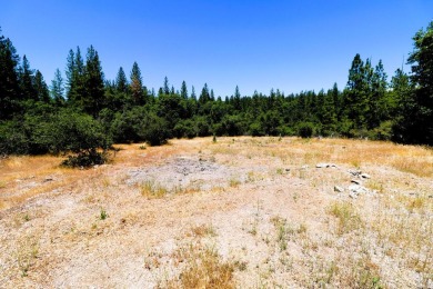 (private lake, pond, creek) Acreage For Sale in Rail Road Flat California