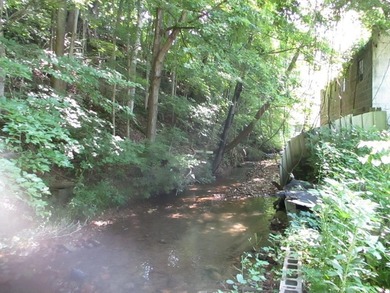 Lake Lot For Sale in Chilhowie, Virginia