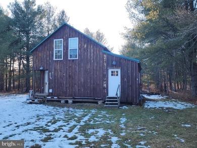 Recreational use wood frame cabin with detached garage and pond - photo 1
