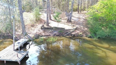 WATERFRONT LOT - HOUSTON COUNTY LAKE! If you're looking for the - photo 3