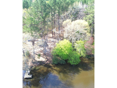 WATERFRONT LOT - HOUSTON COUNTY LAKE! If you're looking for the - photo 4