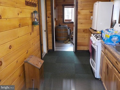 Recreational use wood frame cabin with detached garage and pond - photo 4