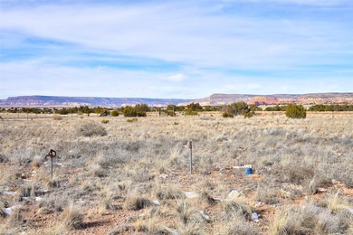 Lot 24 in the Abiquiu Dam subdivision consists of 2.2 acres - photo 6