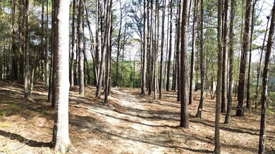 WATERFRONT LOT - HOUSTON COUNTY LAKE! If you're looking for the - photo 7