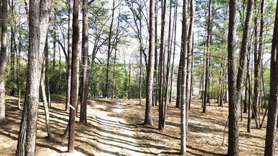 WATERFRONT LOT - HOUSTON COUNTY LAKE! If you're looking for the - photo 8