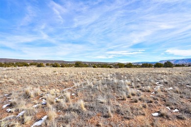 Lot 24 in the Abiquiu Dam subdivision consists of 2.2 acres - photo 8