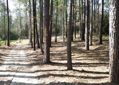 WATERFRONT LOT - HOUSTON COUNTY LAKE! If you're looking for the - photo 9