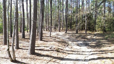 WATERFRONT LOT - HOUSTON COUNTY LAKE! If you're looking for the - photo 10